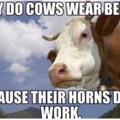 MOOOOOO wait a second....Cows don't have horns