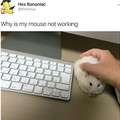 Mouse.exe not working