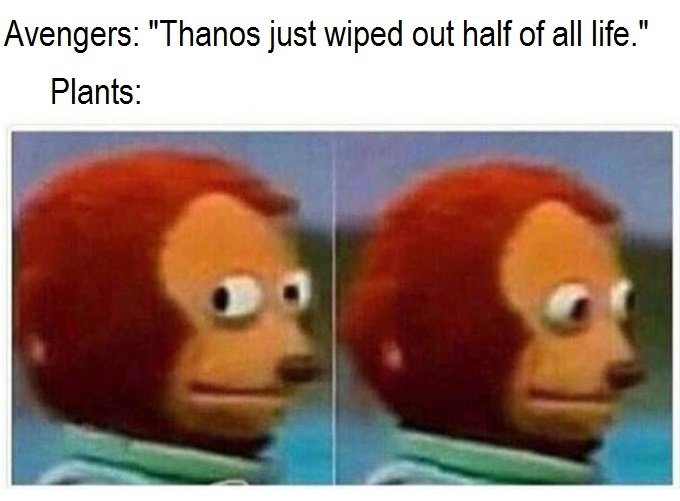 Thanos don goofed up - meme