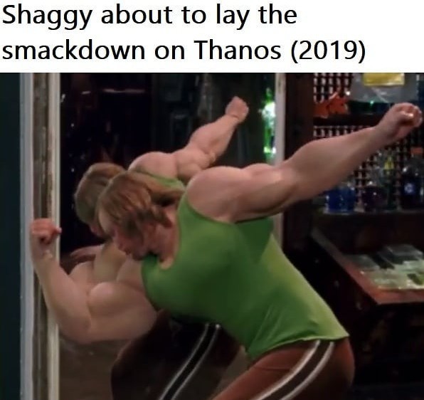 Go get him shaggy - meme