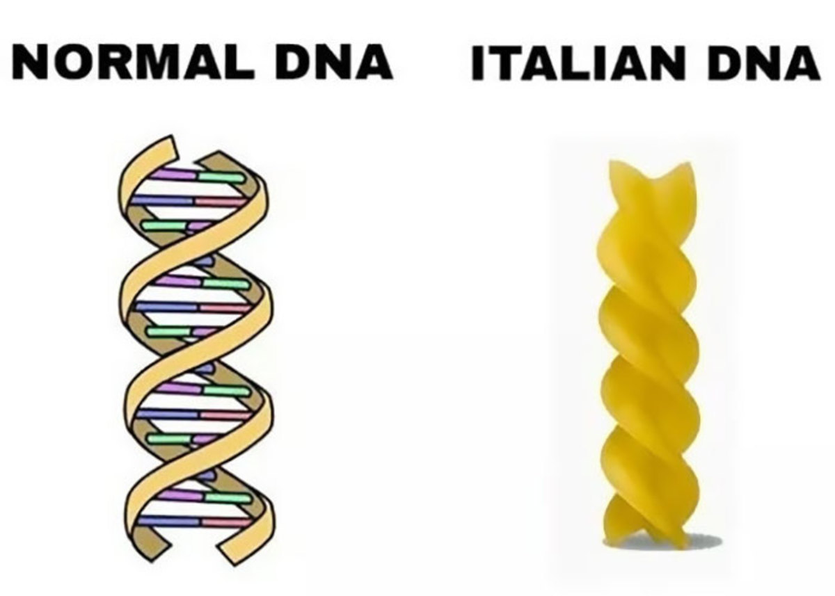 Italian DNA - meme