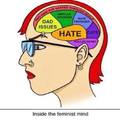 The Small Brains of Feminists!