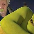 Lambida no Shrek: "Não é a Fiona?!".