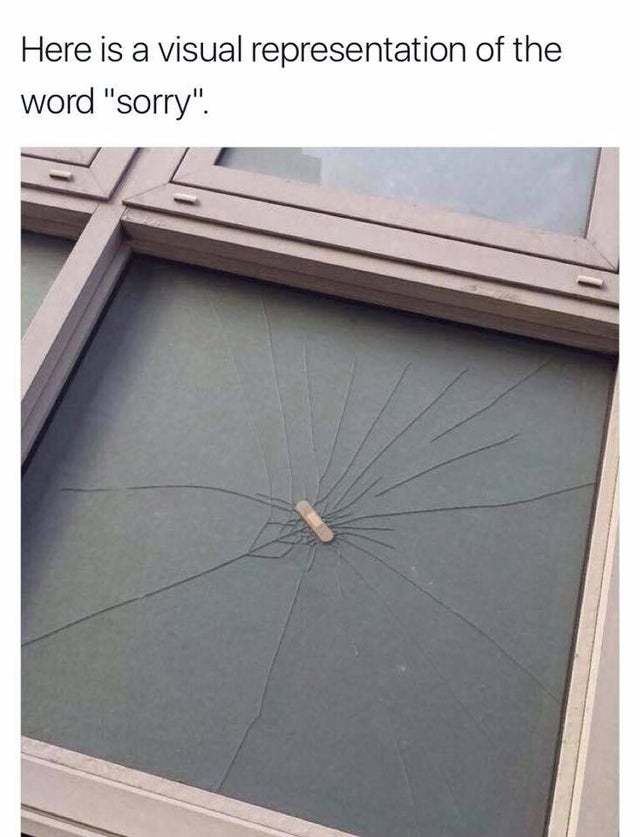 Visual representation of the word sorry - meme