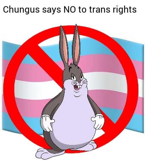 Ugggh sorry boss, no trans rights allowed - meme