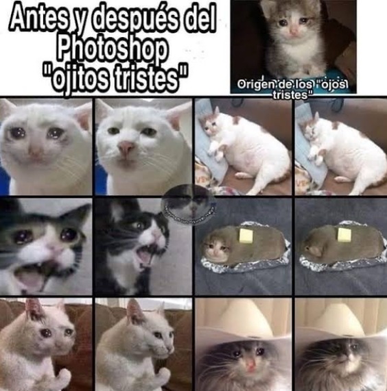 Ayudamequedosinideas.com - meme