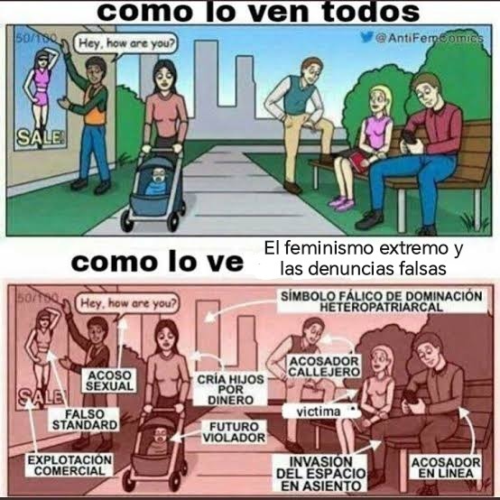 Feminismo extremo y femininazis - meme