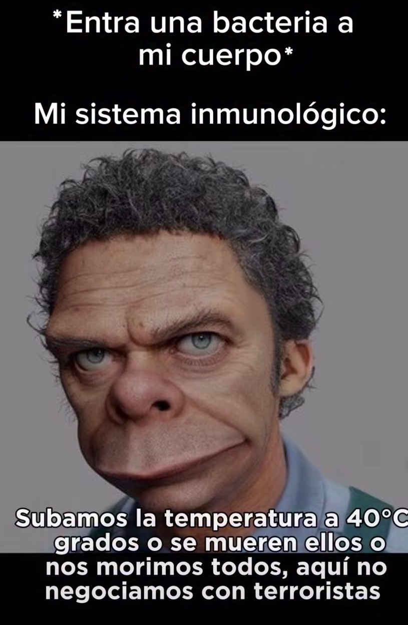 Mi sistema inmune cuando entra una bacteria: sube la fiebre o nos morimos todos - meme