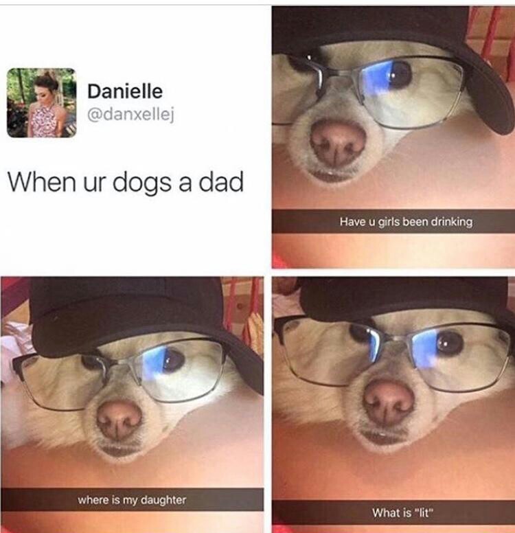 Doggo dad - meme