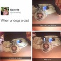 Doggo dad