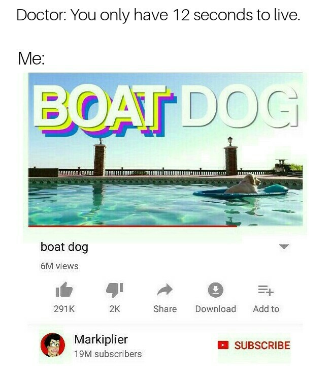 Boat Dog - meme