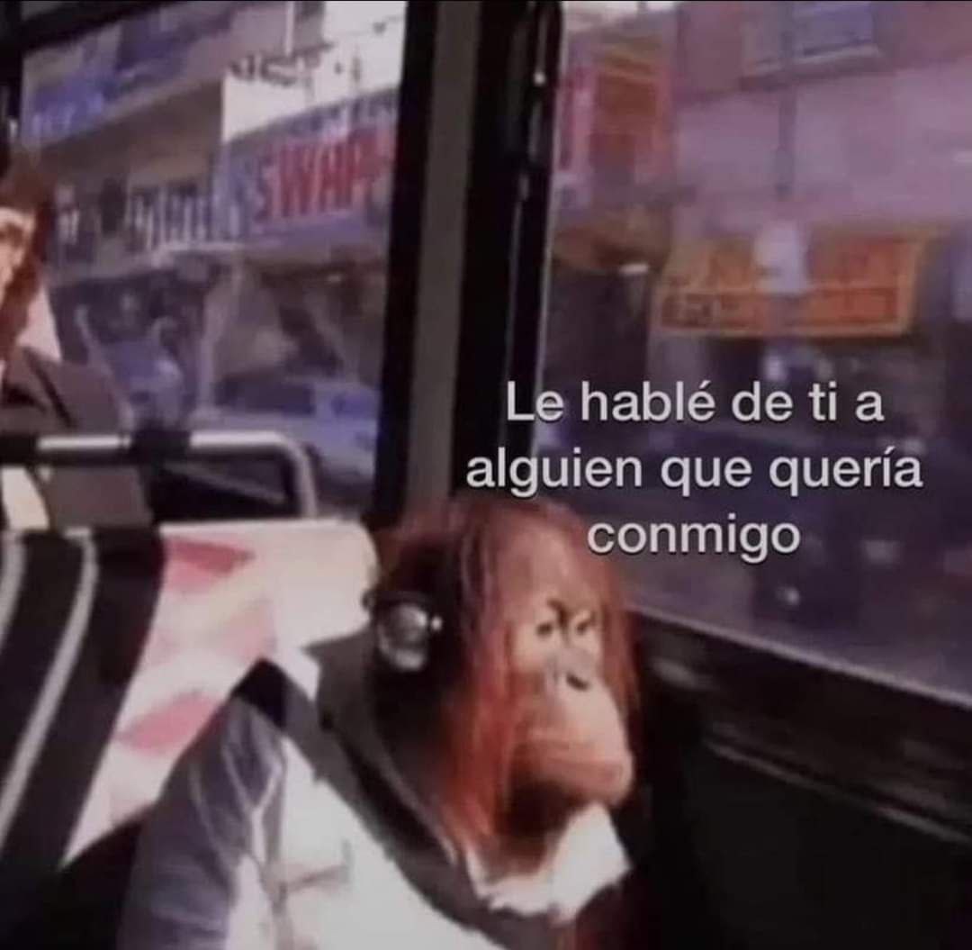 Mono pensativo en autobus - meme