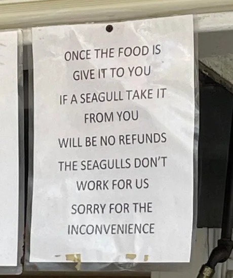 Seagulls don't work for us - meme