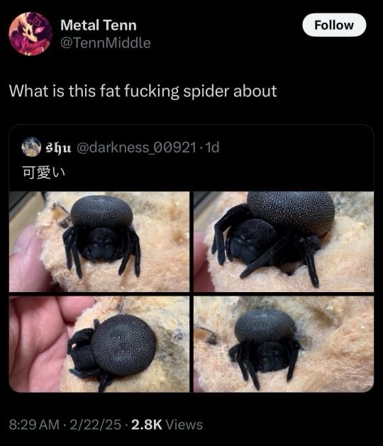 he chonk - meme