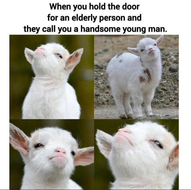 grandpa approved - meme