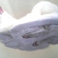 commented item thumbnail