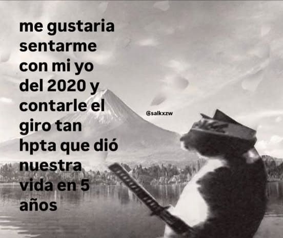 Quisiera contarle a mi yo 2020 el meme que es mi vida