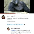 Dicks Out For Harambe 3