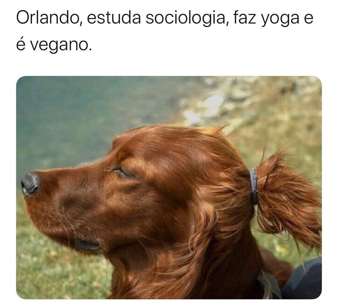 Vegetal nao é animal - meme