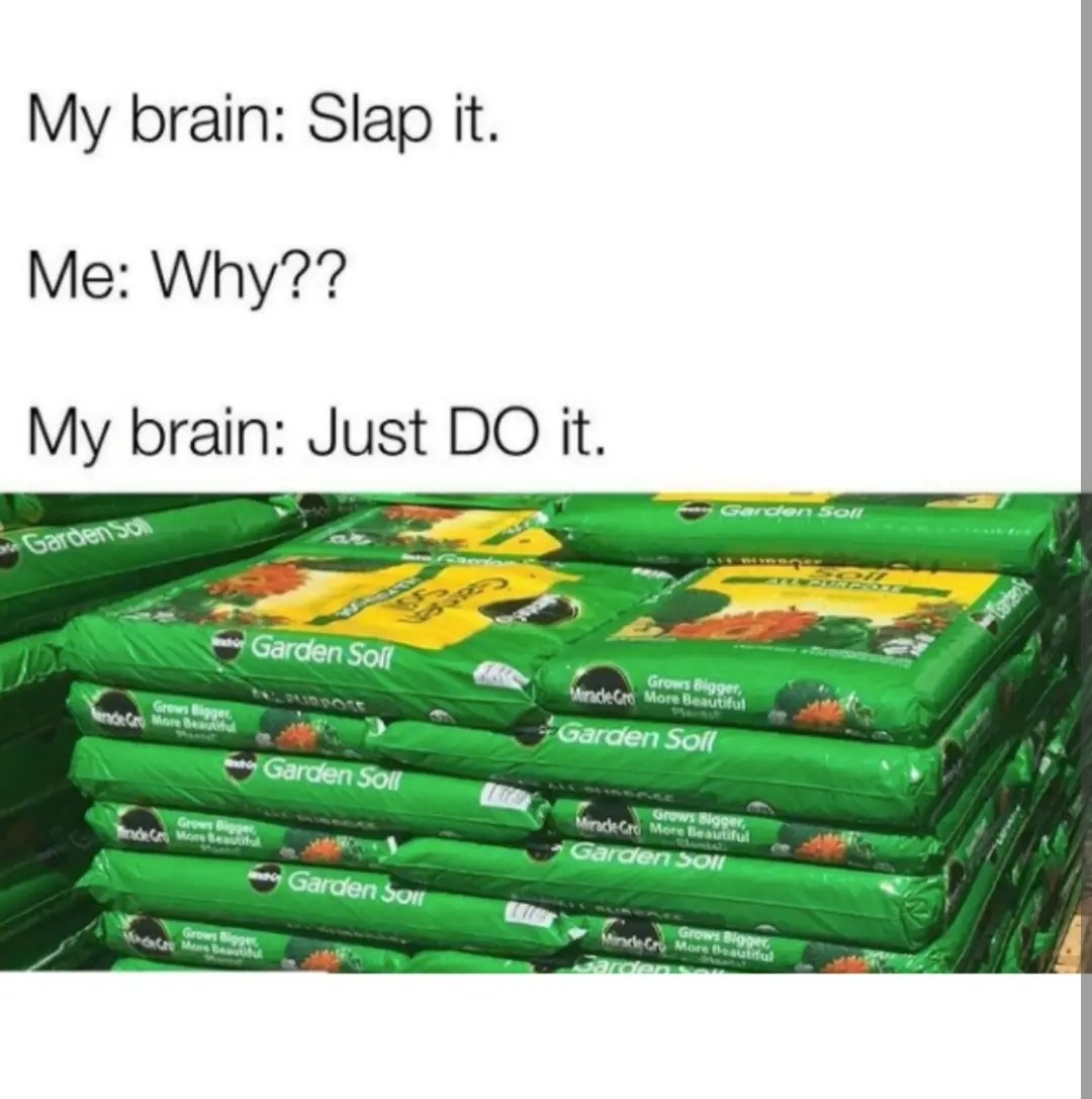 Slaps so hard - meme