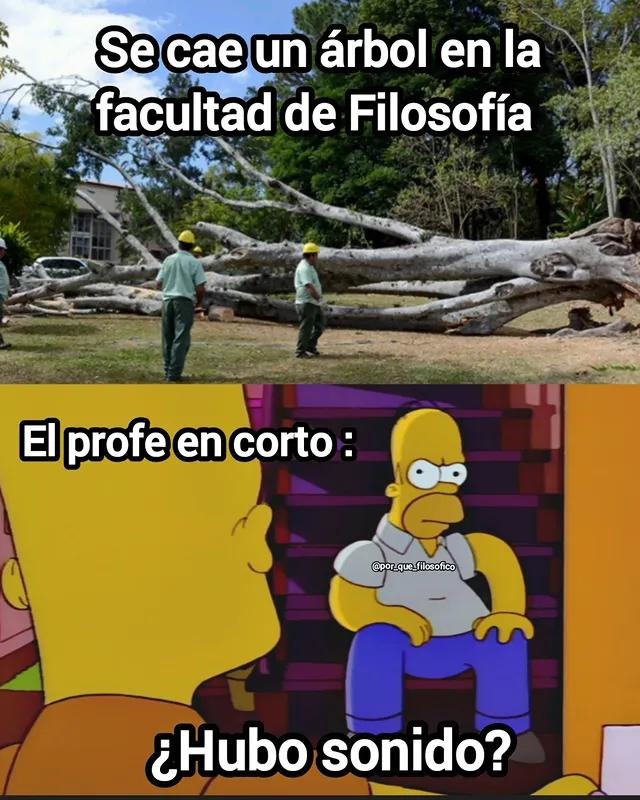 cae un árbol en filosofía y el profe pregunta si hubo sonido - meme