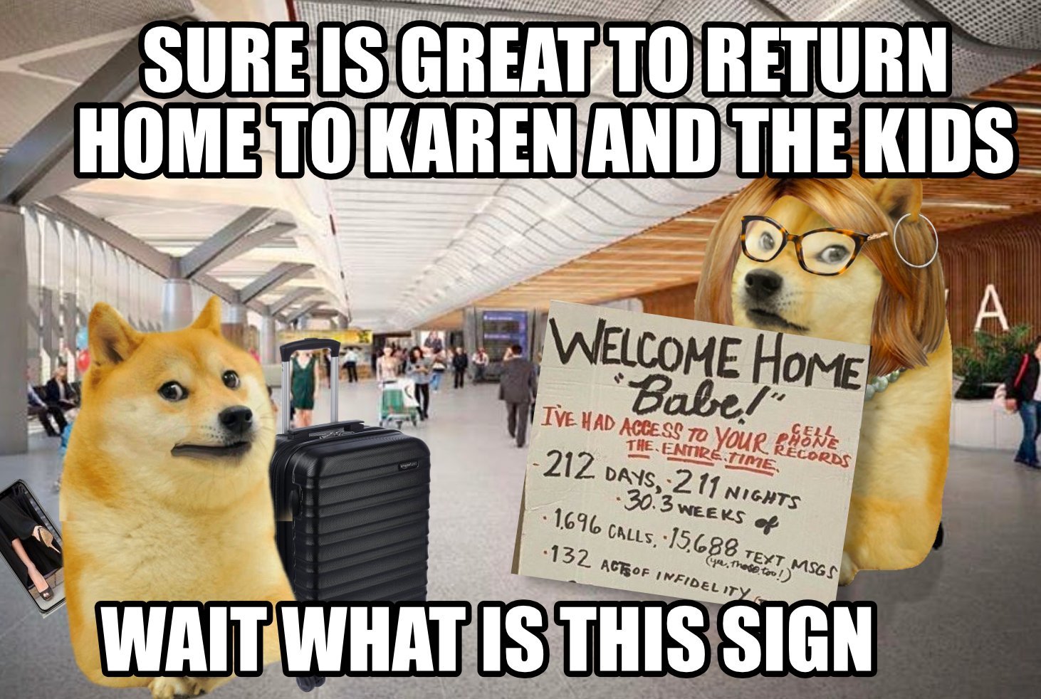 Doge comes home - meme