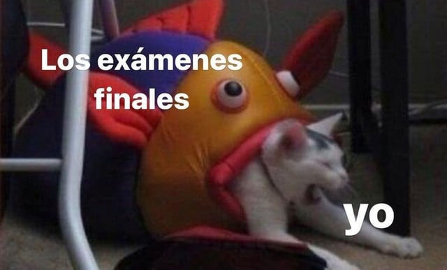 Los exámenes finales - meme