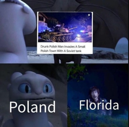 Poland's taking some lessons - meme