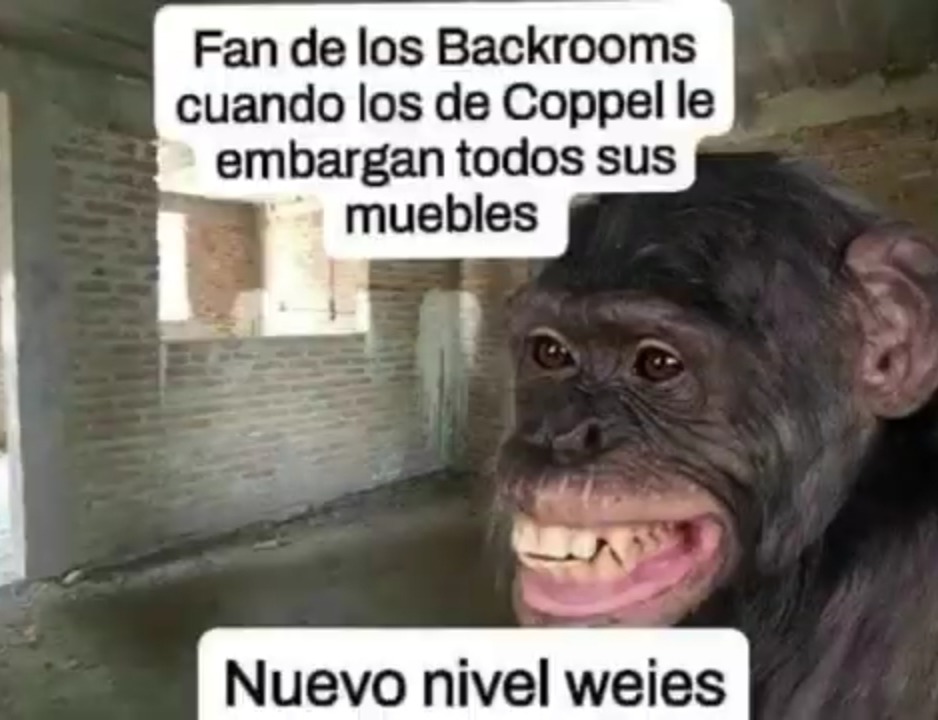 :v - meme