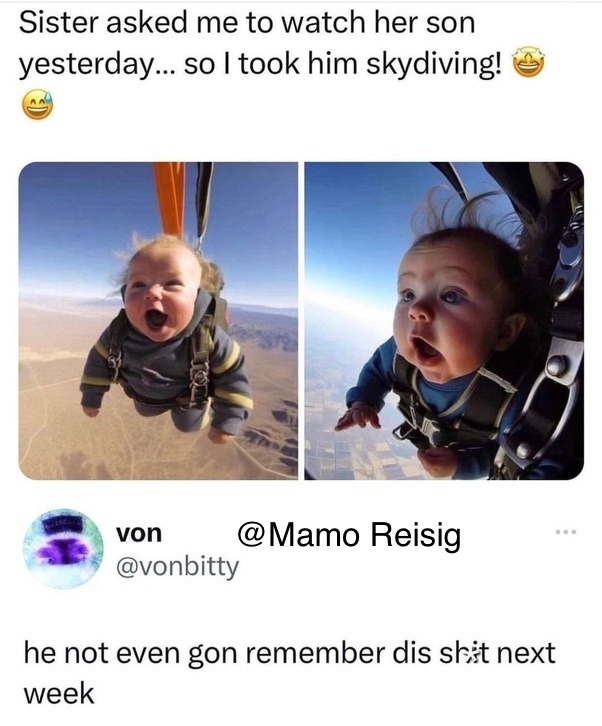 Skydiving - meme