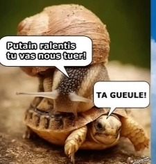 Il y a eu un problème avec le rognage - meme