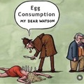 Egg Consumption