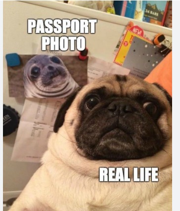 Passport vs Real life - meme