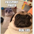 Passport vs Real life