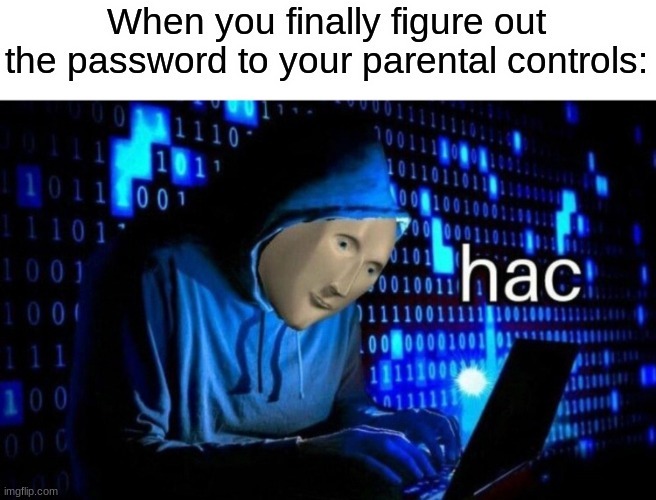 hackerman - #password #hack #computer #memes #9gag