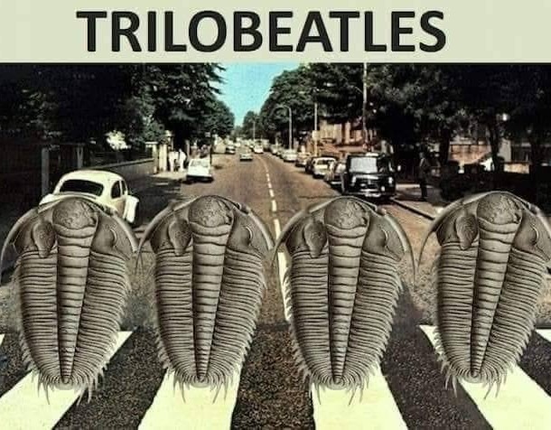 Y así nacieron los Trilobeatles - meme