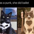 punisher and heart cat