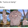 Moth Lamp
