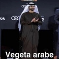 Vegeta árabe