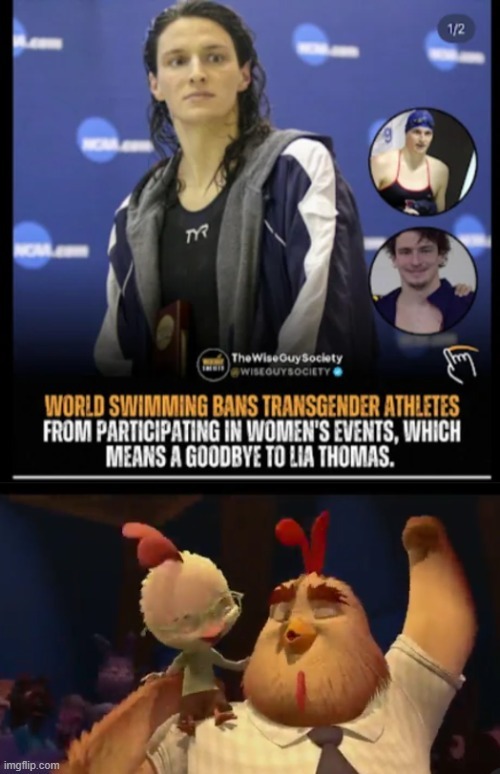 world swimming bans transgenre athletes