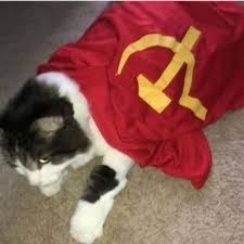 gato comunismo - meme