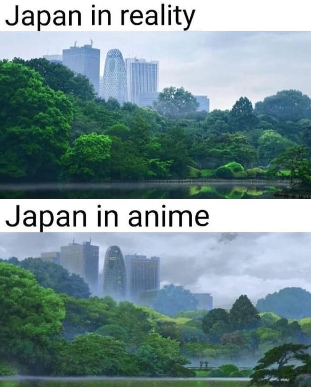 Japan - meme