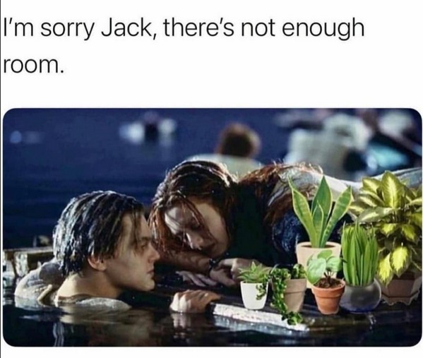 Those plants are gonna die, anyway - meme