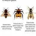 Bee guide