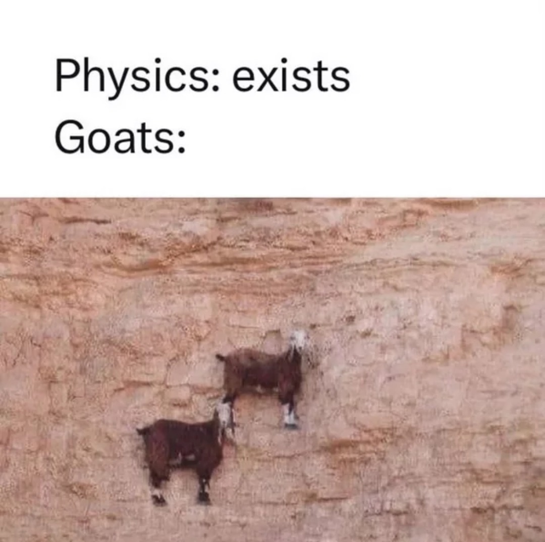 Goat - meme