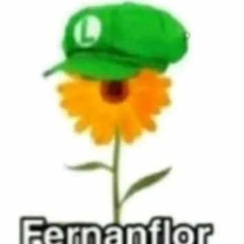 Titulo - meme