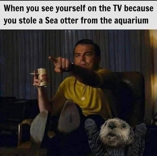 Hey look it's us - meme