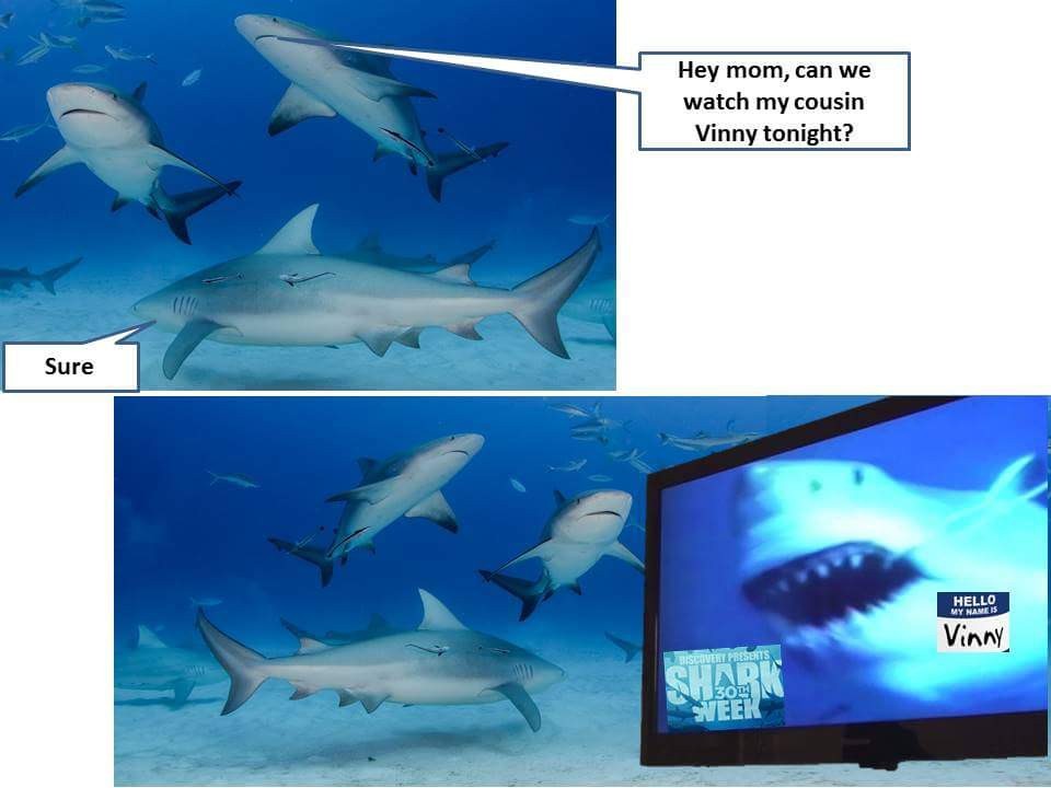 Shark week and stuff - meme