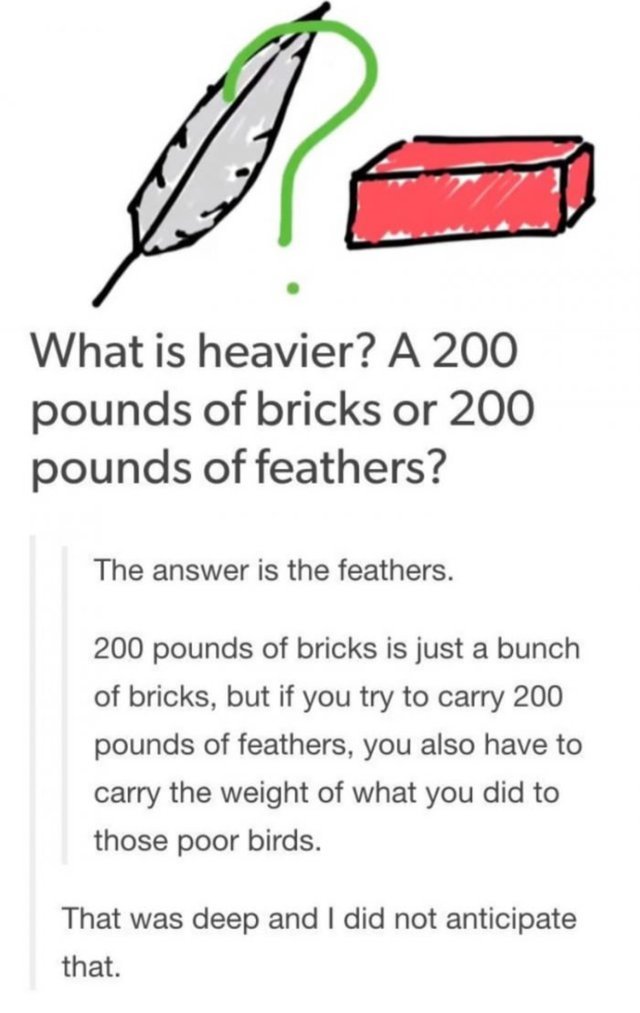 200 pounds of bricks or 200 pounds of feathers? - meme