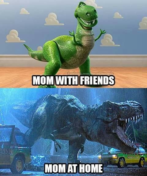 Mom with friends - meme